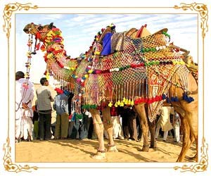 Camel Festival - Bikaner